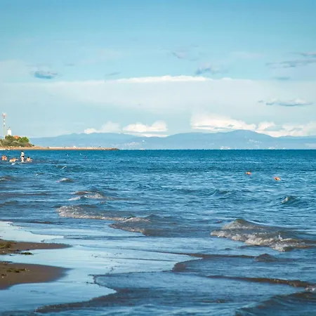 In 38255 * 比比翁