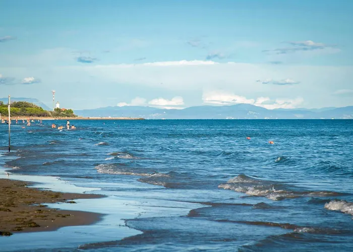 In 38255 * 비비오네