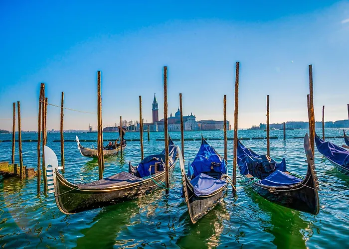 In 38255 * 비비오네